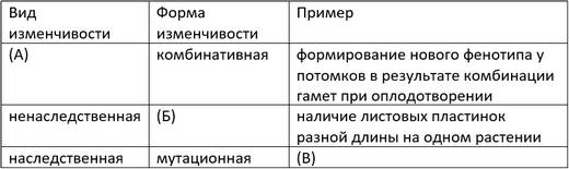 Будь на волне! будь с нами!