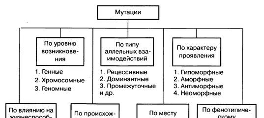 Будь на волне! будь с нами!