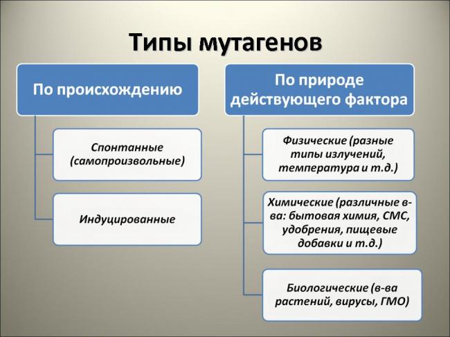Мутаген - mutagen - qwe.wiki