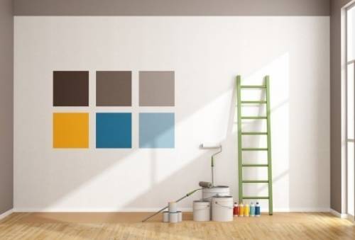 Определение бактерий группы кишечной палочки (бгкп) методом смывов