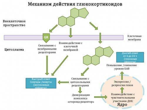 Лечение радикулита поясничного медикаментами уколами