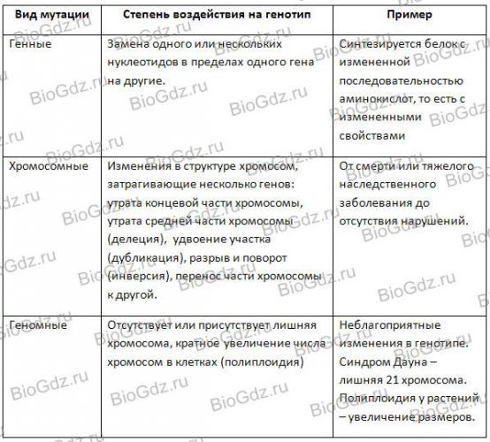 Виды мутаций. геномные и хромосомные мутации