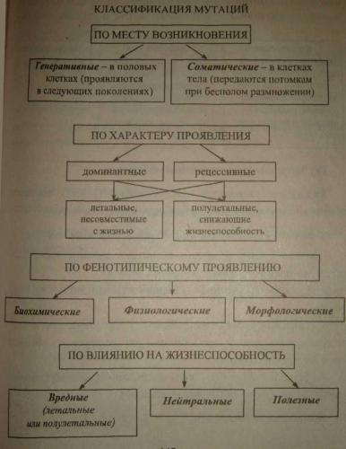 Мутации - биология егэ