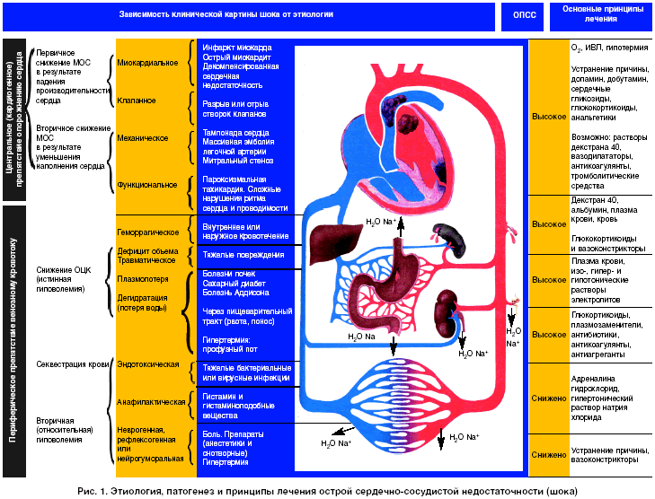 Травматический шок - степени и первая помощь, симптомы | здрав-лаб