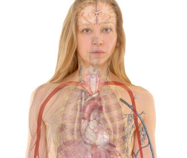 Актовегин: инструкция по применению, аналоги и отзывы, цены в аптеках россии