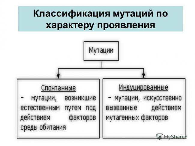 Мутагенез. мутагенные факторы