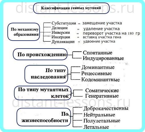 Будь на волне! будь с нами!