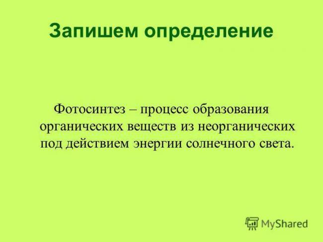Характеристики, структура и функции тилакоидов