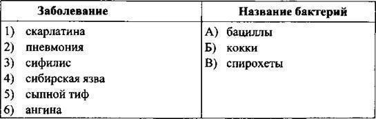 хемосинтезирующие бактерии (железобактерии, серобактерии) можно отнести к определённой группе. это паразиты автотрофы сапрофиты симбионты