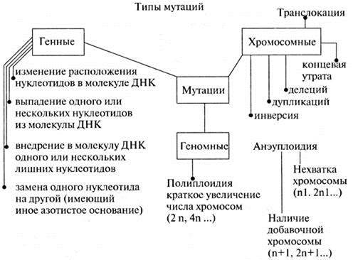 Будь на волне! будь с нами!