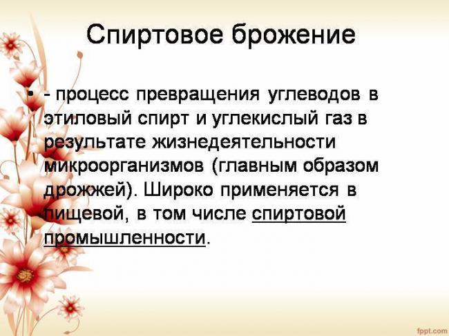 Бактерии для запуска аквариума – основной регулятор биосистемы