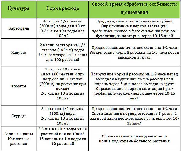Есть нюансы: фитоспорин-м – как правильно развести и использовать для защиты растений