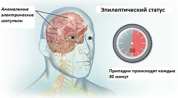 ПК-Мерц PK-Merz инструкция по применению