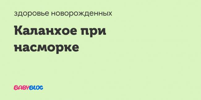 Каланхоэ в нос ребенку: можно ли капать при насморке, как разводить