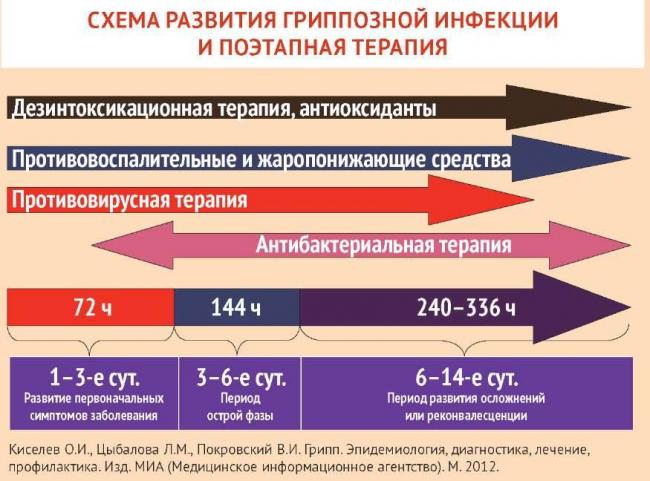 Противовирусные средства: разновидности, основные характеристики, принцип действия, показания, противопоказания, основные характеристики