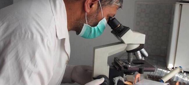Отличие пневмонии от туберкулёза