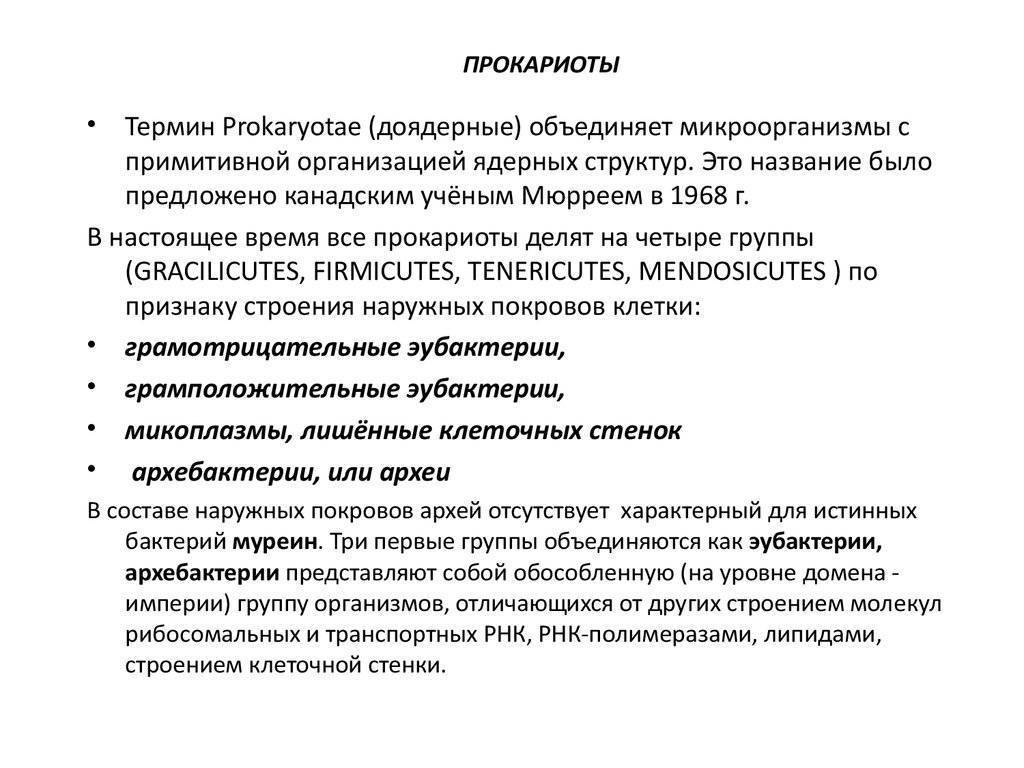 Эукариоты