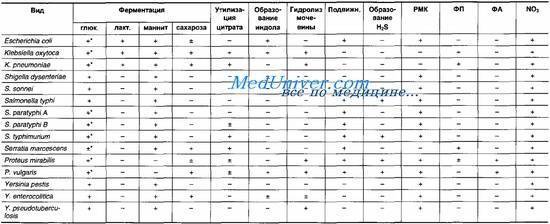 Какого цвета бактерии?