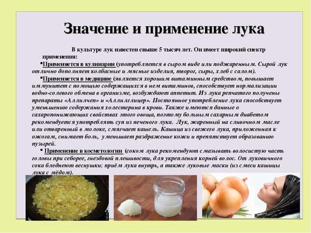 Можно ли закапывать при насморке луковый сок