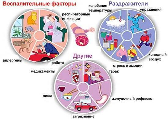 Обострение бронхиальной астмы: лечение и профилактика
