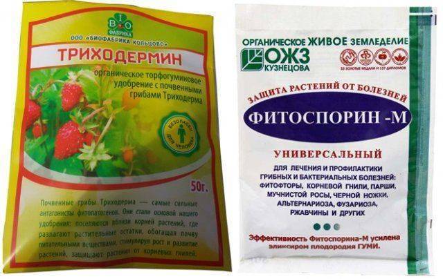Триходермин инструкция по применению отзывы когда обрабатывать