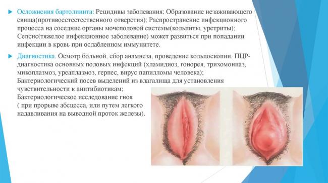 Клиника пластической хирургии и косметологии профессора блохина с.н. и доктора вульфа и.а.