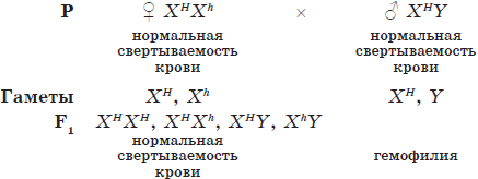 Ритуал-сервис - кто поможет в трудную минуту...