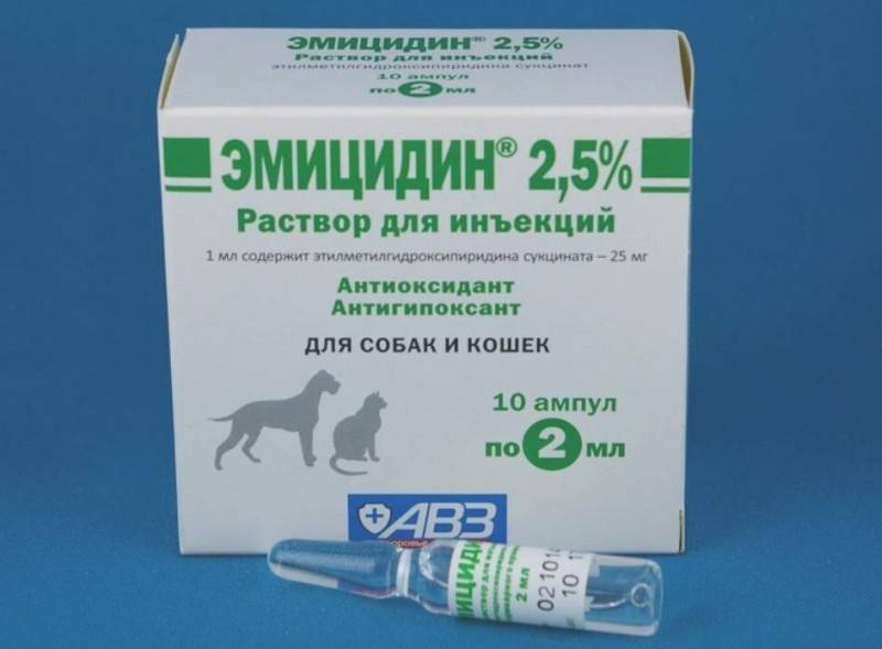 Все достоинства и недостатки препарата для собак артрогликан. подробный обзор