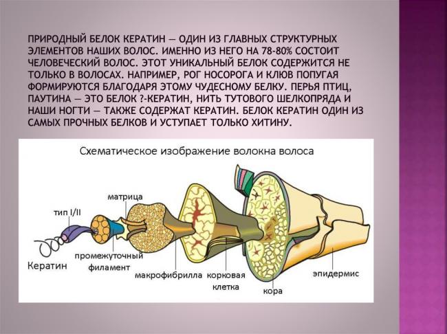 Кератины