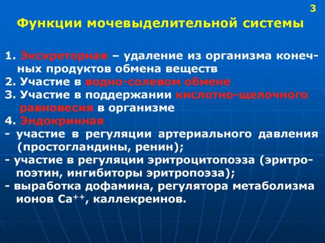 Ренин — гормон контроля артериального давления