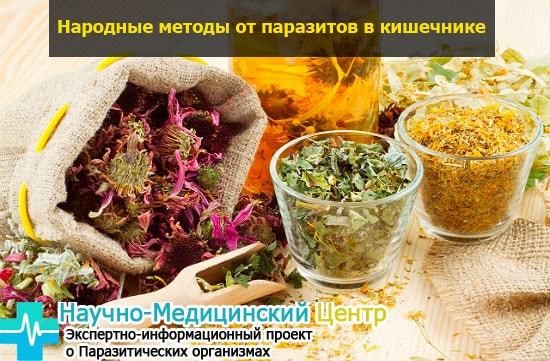 Чистка кишечника содой от паразитов – просто, дешево, эффективно