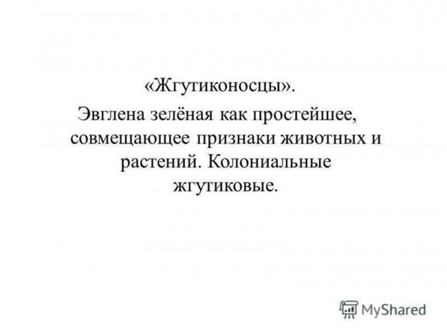 Бактерии сине-зеленые