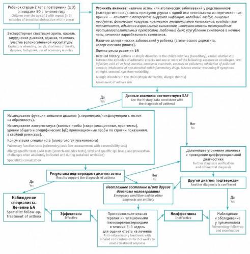 Нормы пикфлоуметрии у детей и взрослых