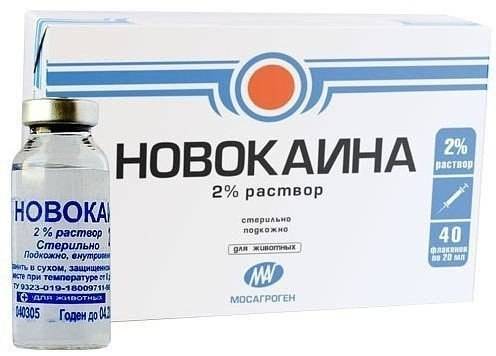 НОВОКАИН 0,5 И 2 РАСТВОР ДЛЯ ИНЪЕКЦИЙ инструкция по применению