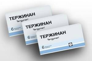 Тержинан Tergynan