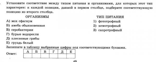 Презентация на тему: "метаболизм 2 цели урока: 1.формирование общих представлений о клеточном метаболизме и его биологическом значении. 2.развитие навыков самостоятельной работы.". скачать бесплатно и без регистрации.