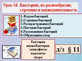 Вредные бактерии – возбудители болезней человека