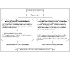 Цитомегаловирус у детей, у женщин при беременности. результаты анализов и обнаружение антител. симптомы и лечение цитомегаловирусной инфекции