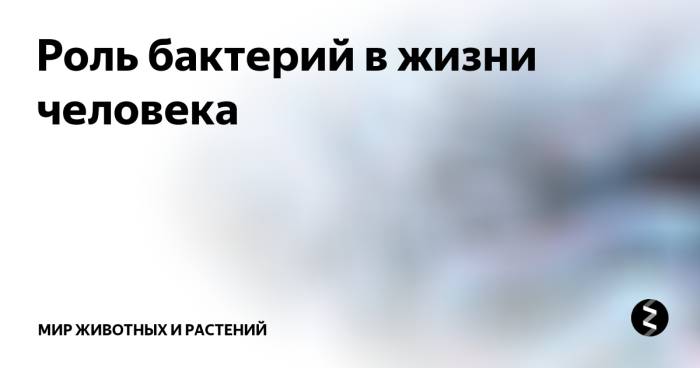 Польза и вред бактерий для человеческого организма