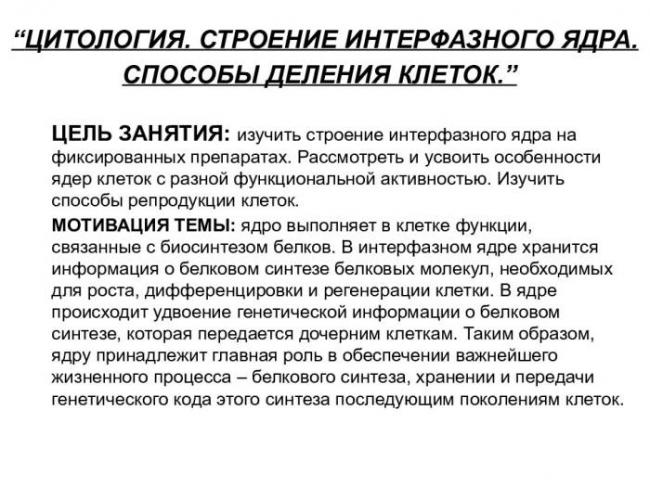 Какими способами могут размножаться бактерии и грибы