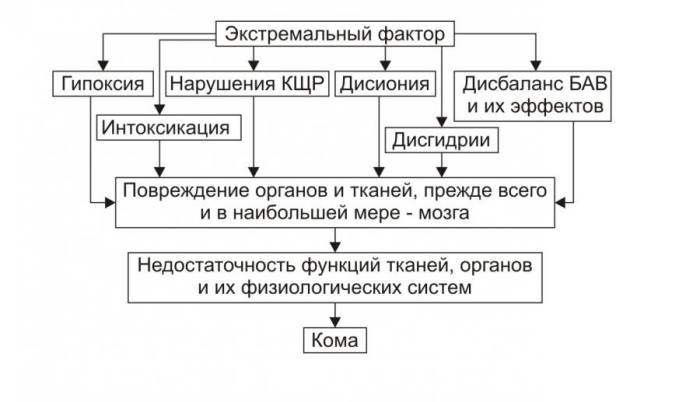 Патогенез