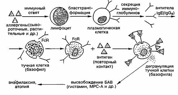 Аллергия на металл