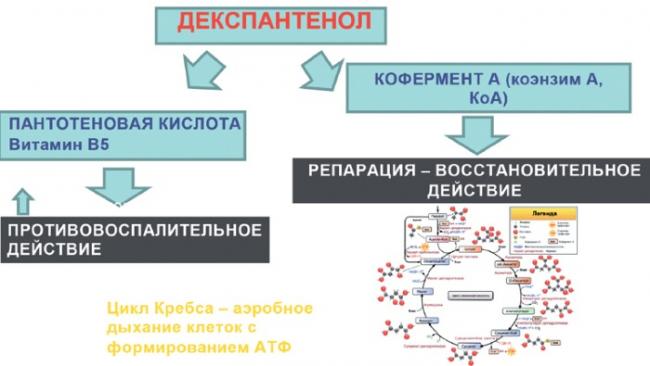 Депантол