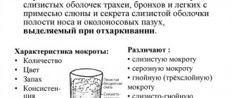 Холагол инструкция по применению цена отзывы аналоги цена