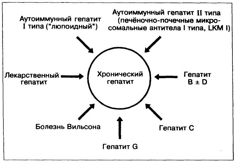Питание при хроническом гепатите в циррозе печени