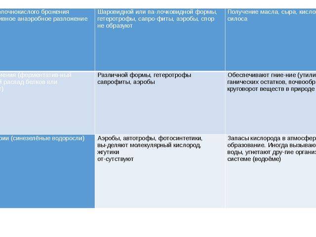 Зачем нужны и как работают бактерии в толстом кишечнике человека
