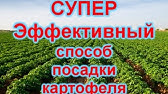 Способы применения удобрения «agromax»