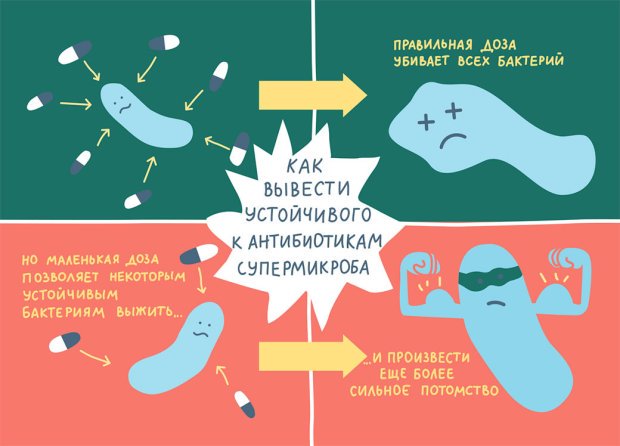 Новейшие супербактерии или антибиотики: кому достанется победа?
