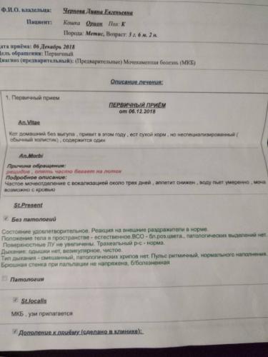 Бактерии в моче - что это значит у женщин, детей и беременных? | здрав-лаб