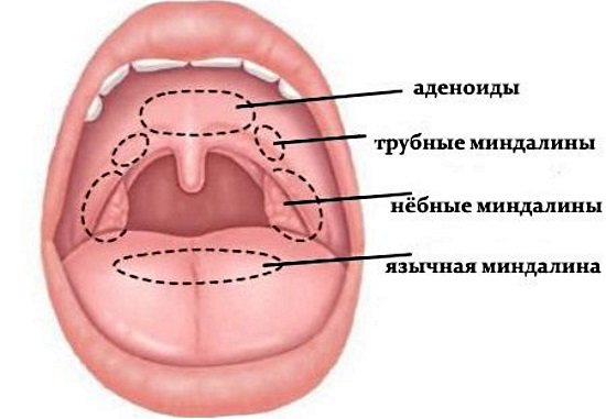 Болит горло то с левой, то с правой стороны и больно глотать